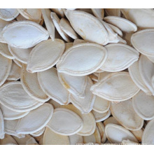 Venta al por mayor brillo piel semillas de calabaza en shell
